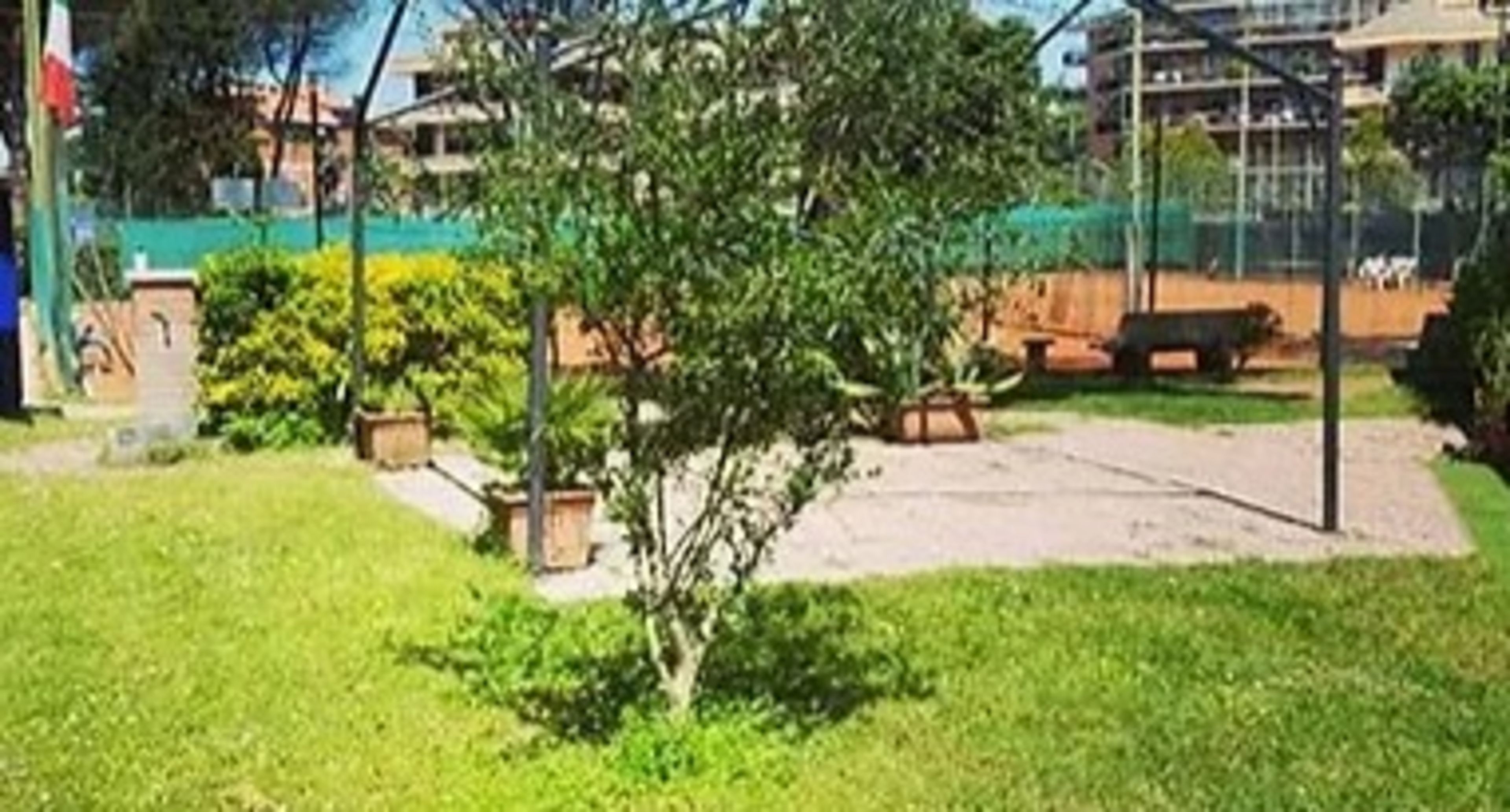 Albatros SSD Tennis & Padel CLUB — photo 14