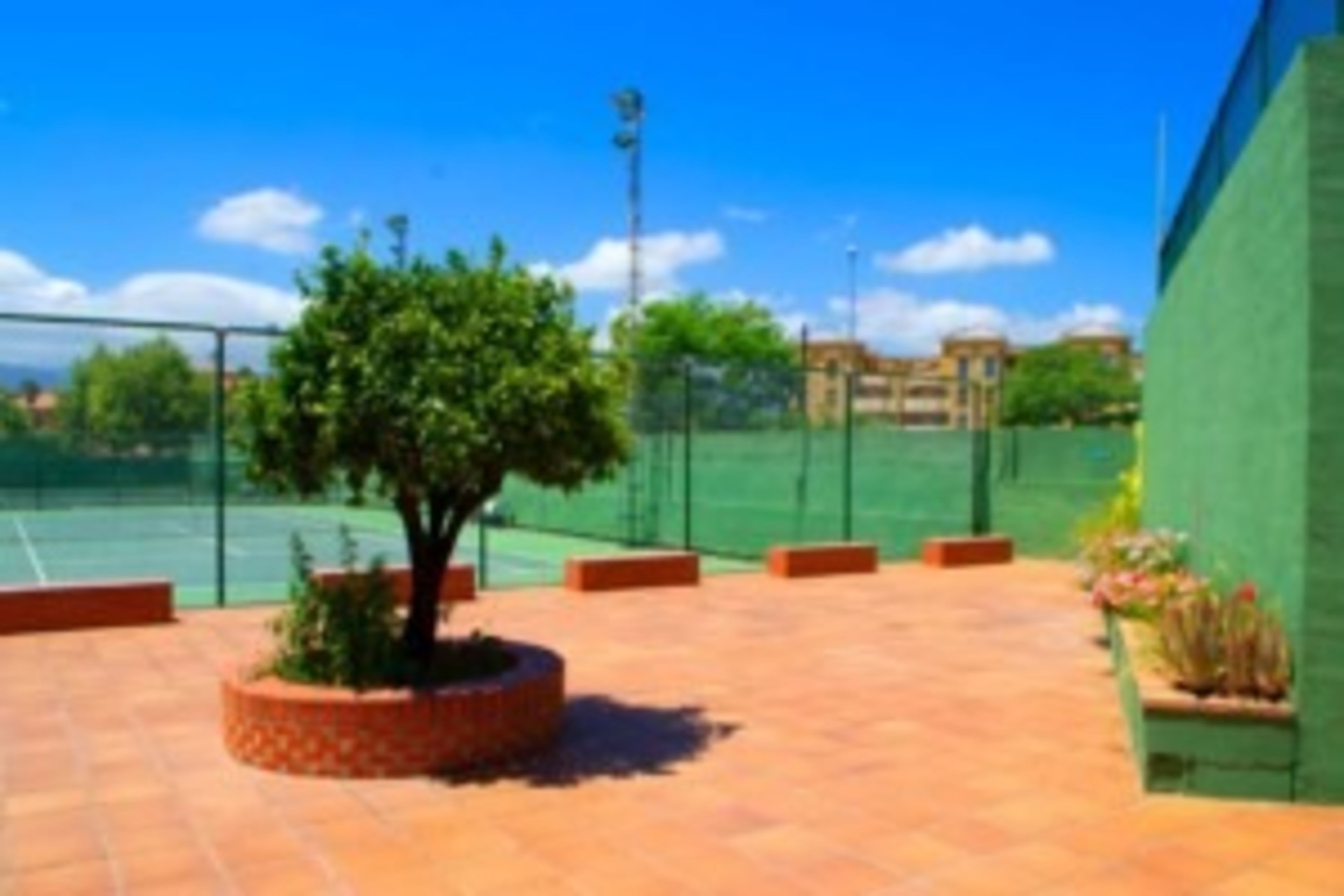 Algeciras Club De Tenis — photo 8