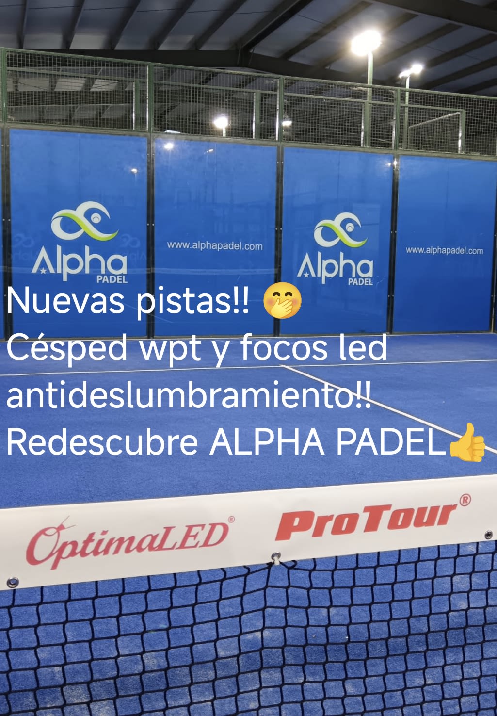 Alpha Padel — photo 1