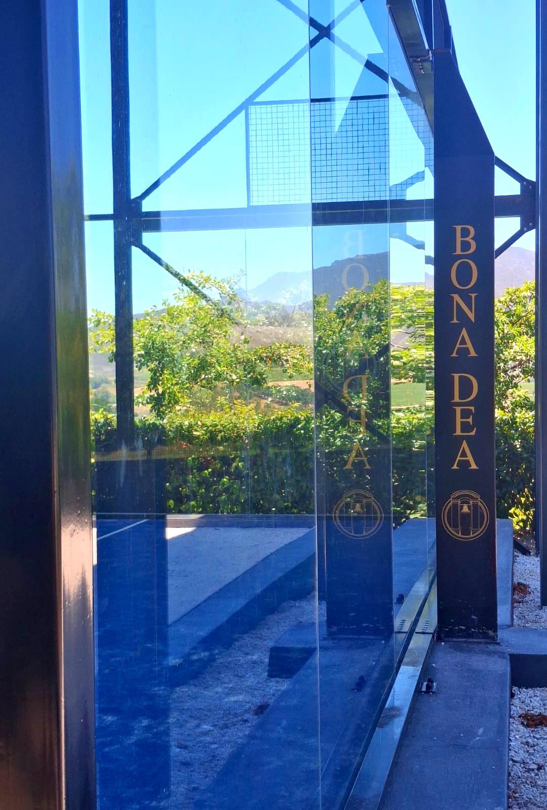 Bona Dea Padel Hub — photo 8