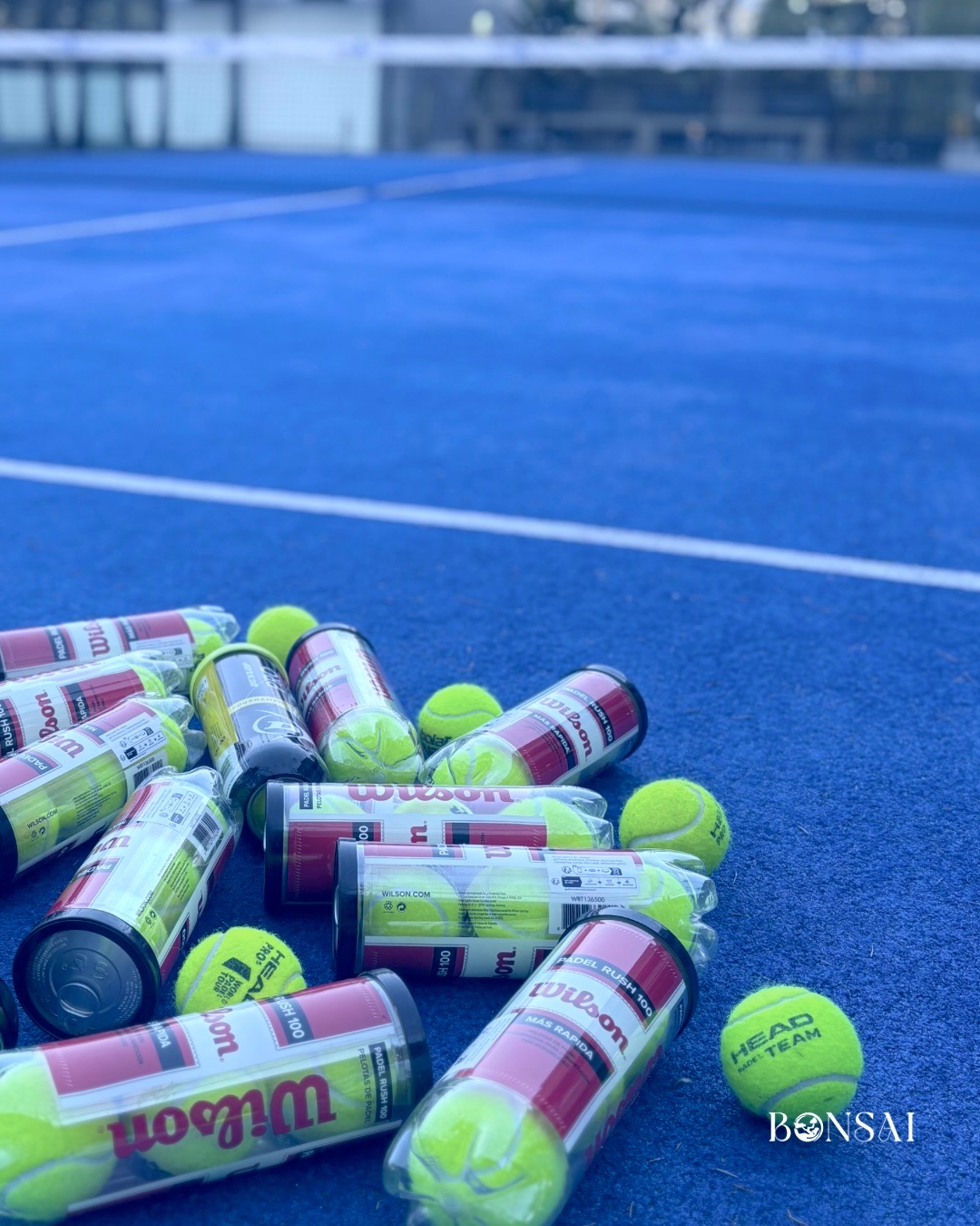 Bonsai Padel Club — photo 6