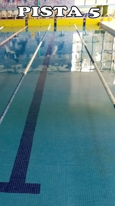 CERCIAZ Padel_Piscina — photo 10