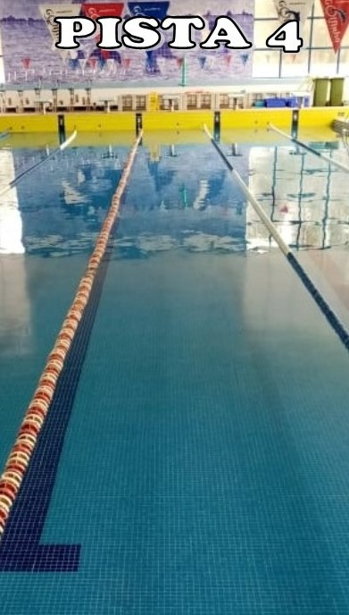 CERCIAZ Padel_Piscina — photo 14