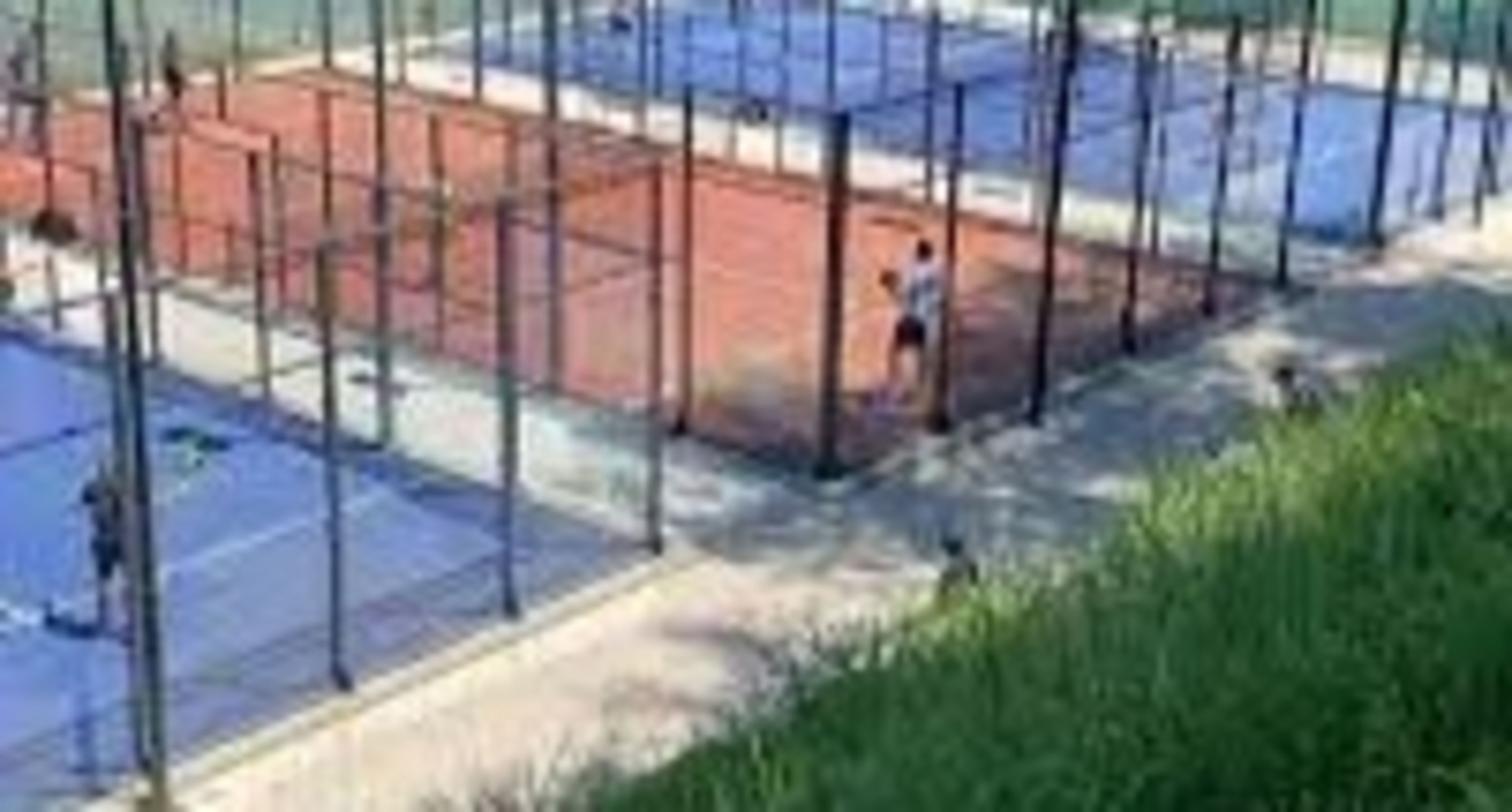 Circolo Canottieri Della Vittoria — photo 3