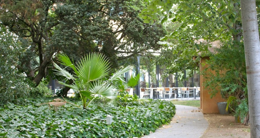 Club de Pádel Maspassamaner — photo 4