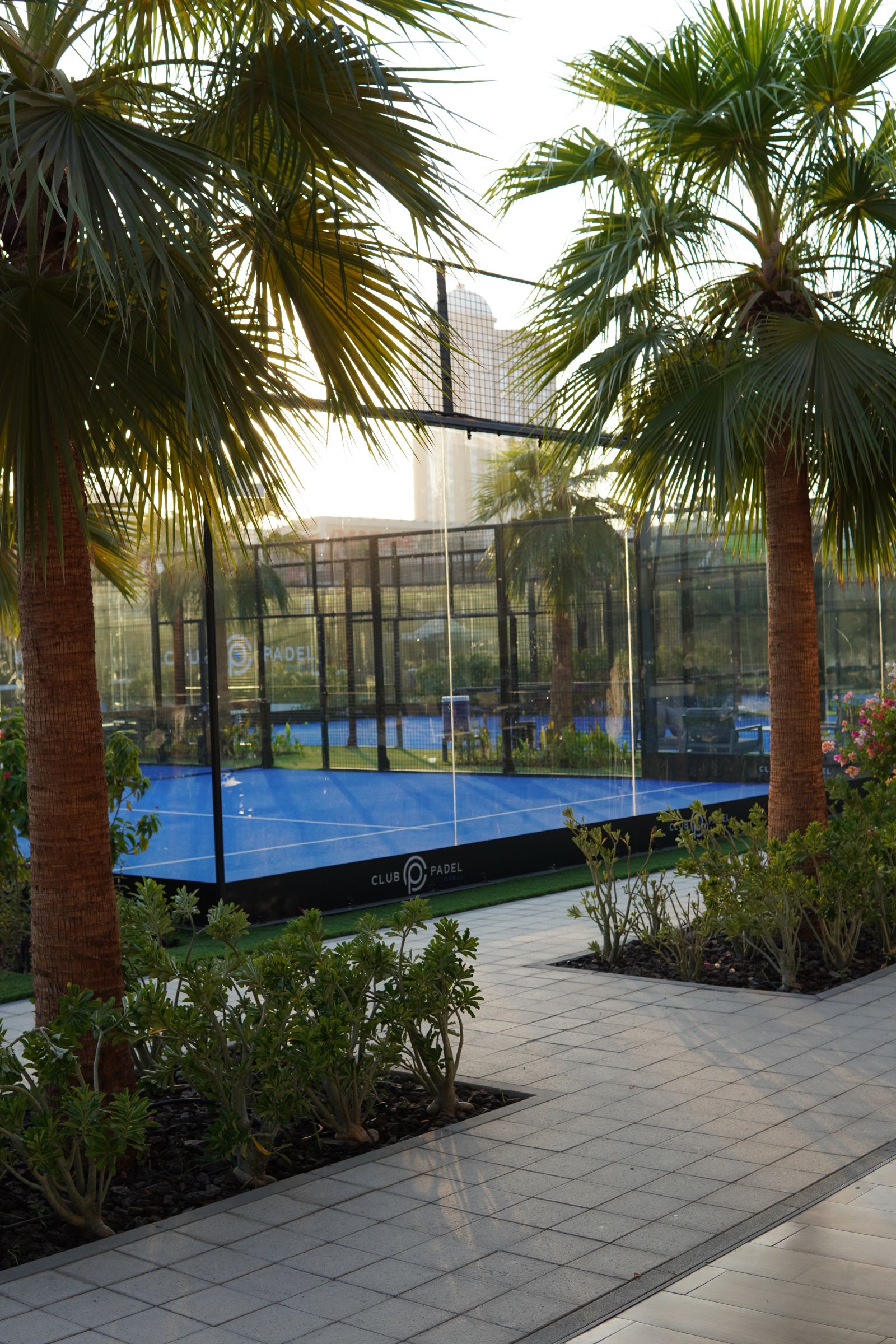 Club Padel Dubai unplugged — photo 3