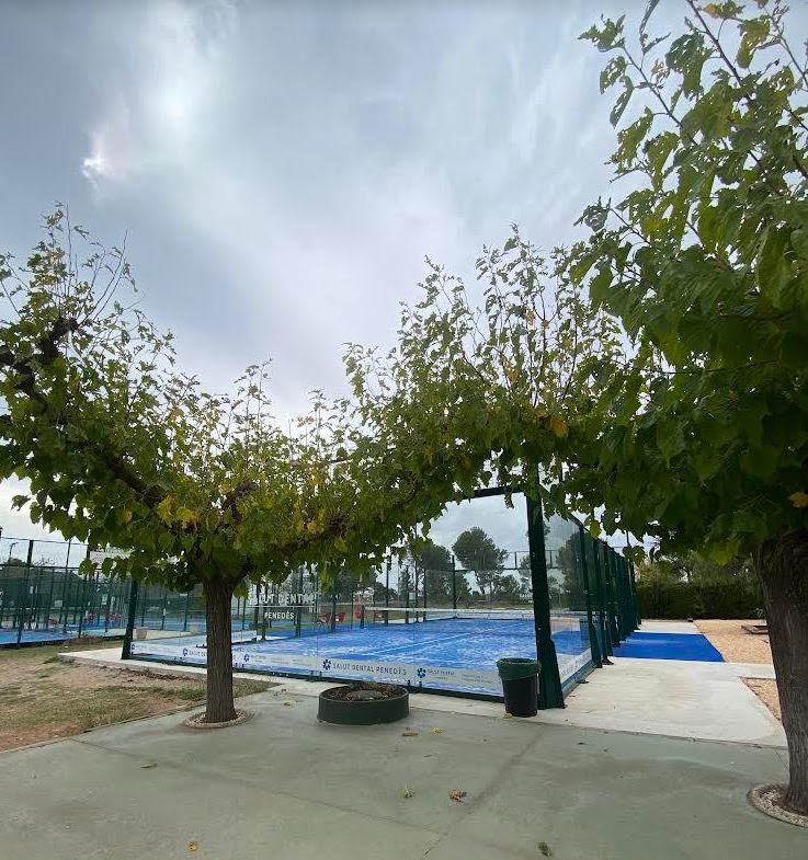 Club Pádel Vilafranca — photo 2