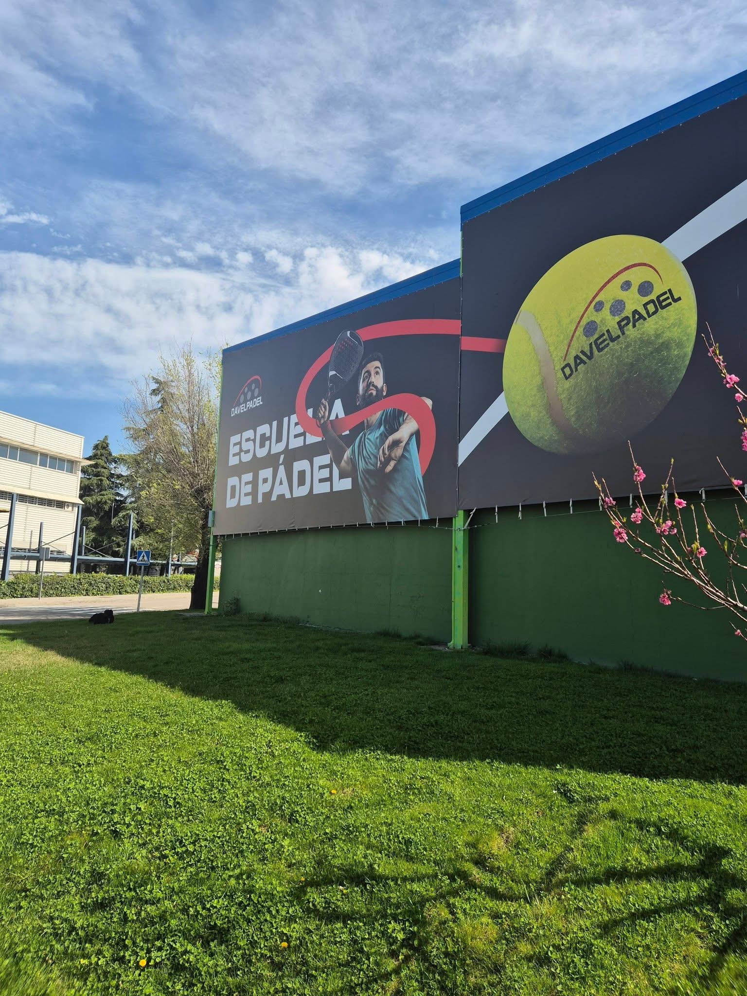 Davelpadel — photo 4