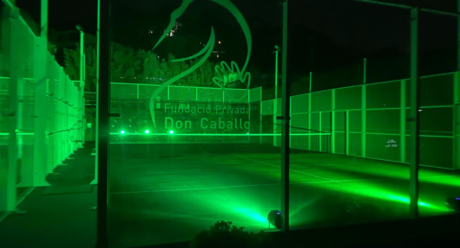Don Padel — photo 2