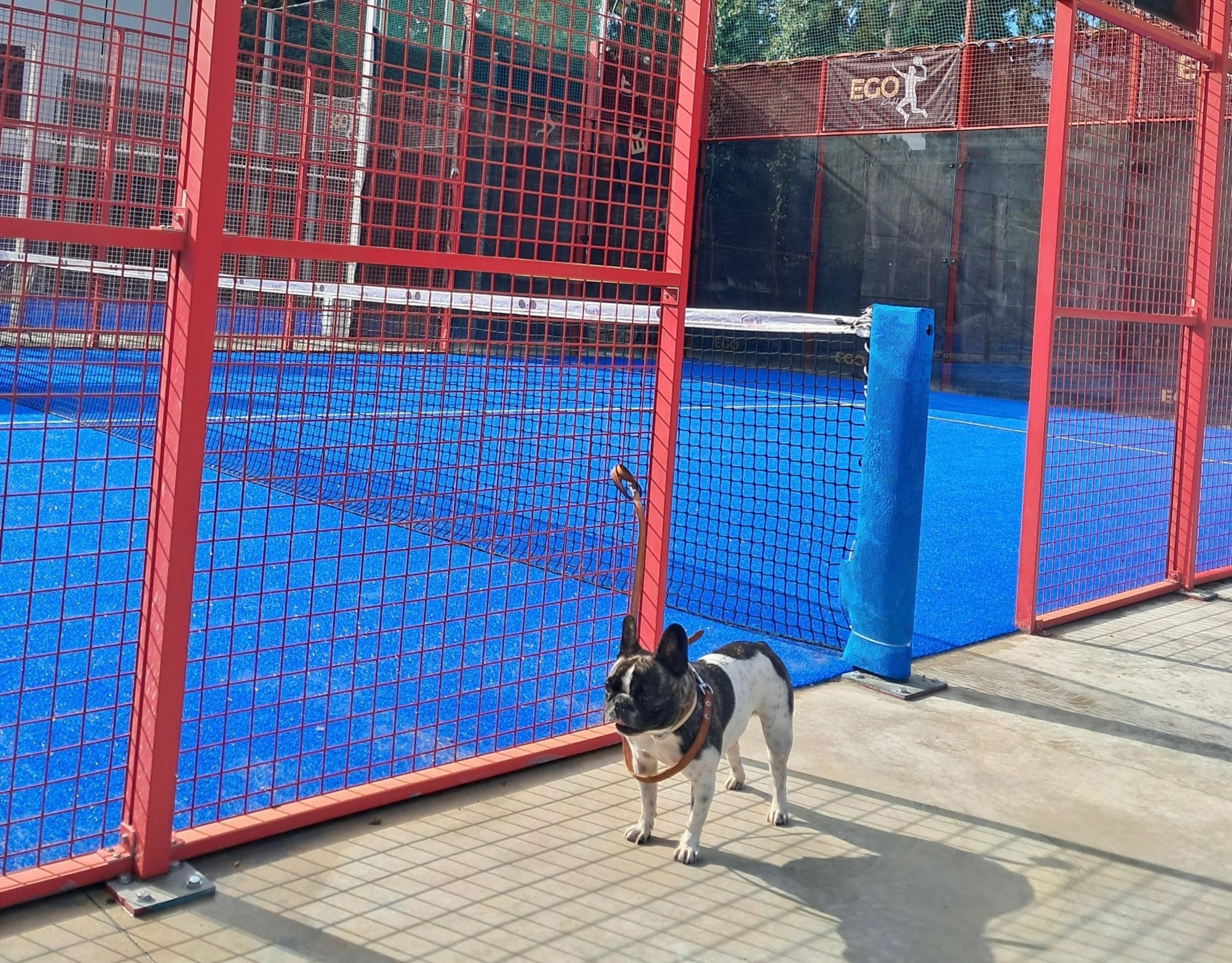 Ego Padel — photo 7