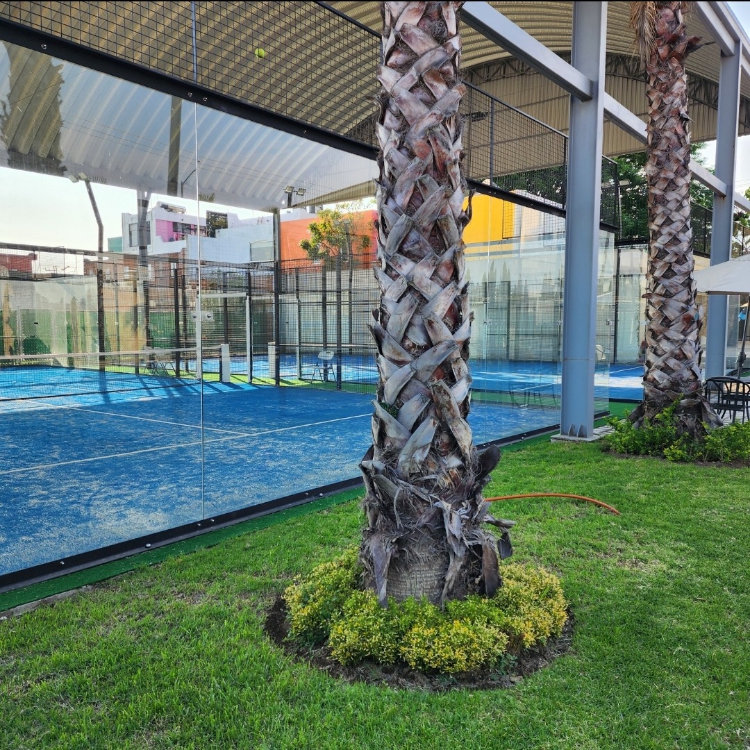 EspinPadel — photo 4