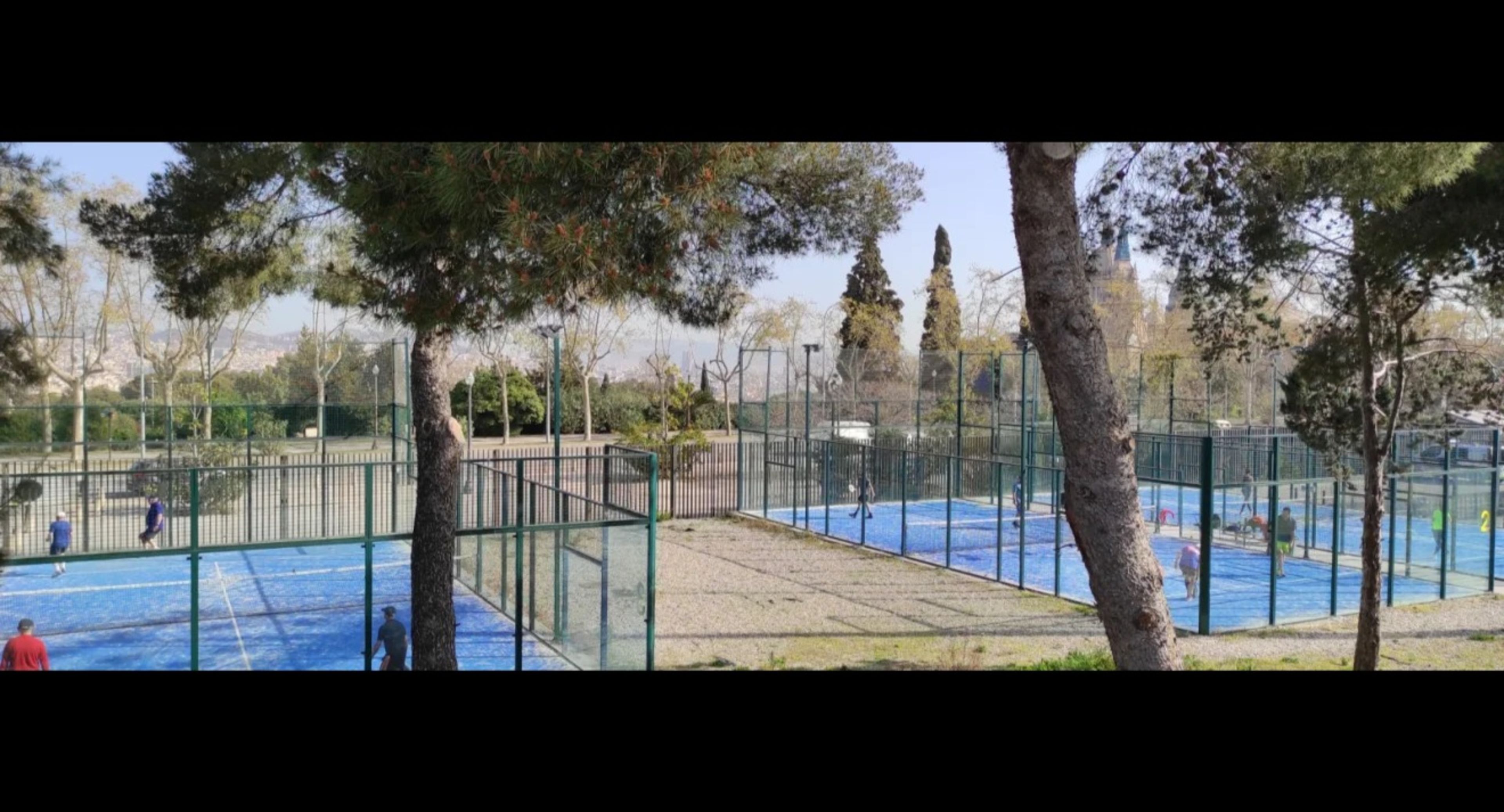Forus Picornell — photo 2