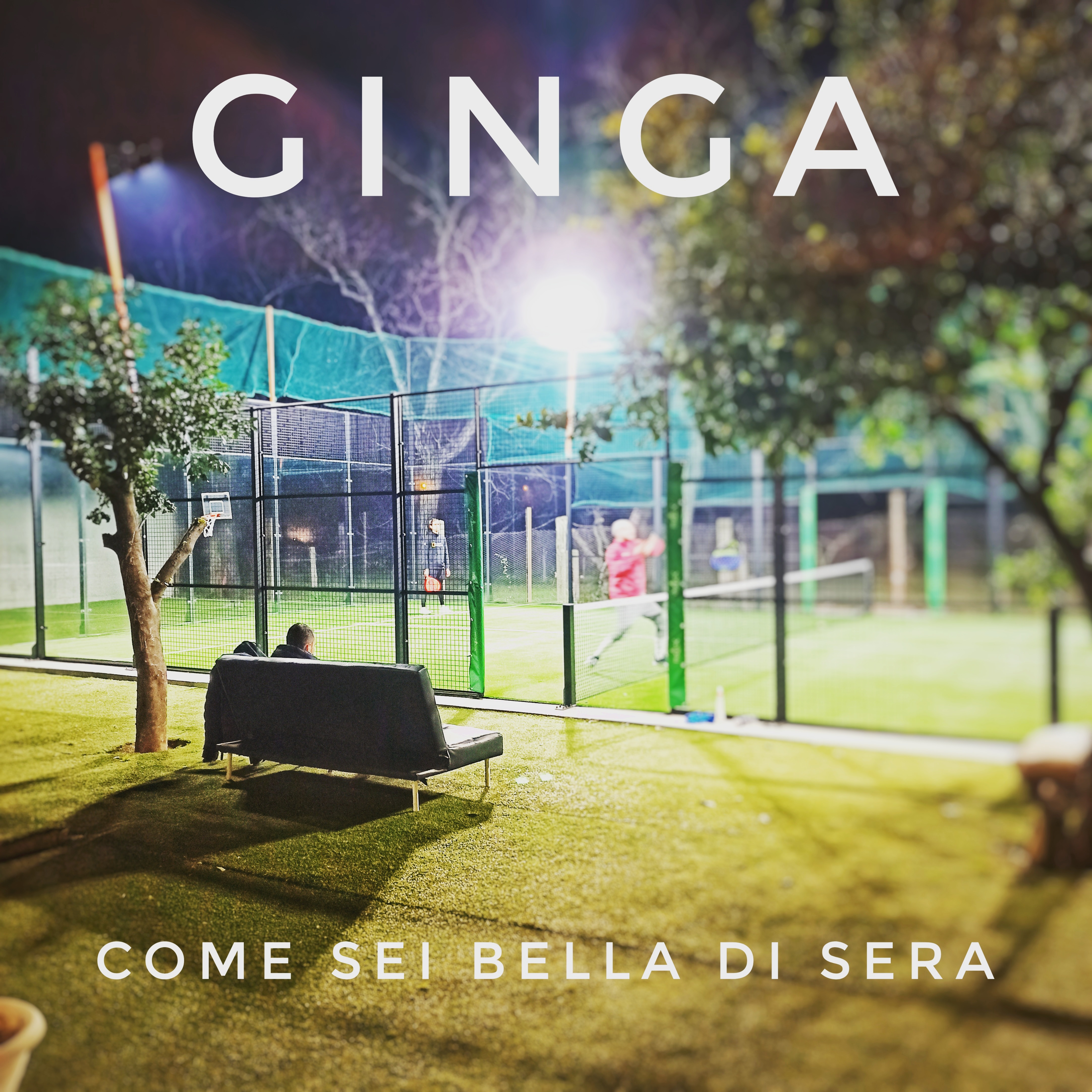 Ginga  — photo 2