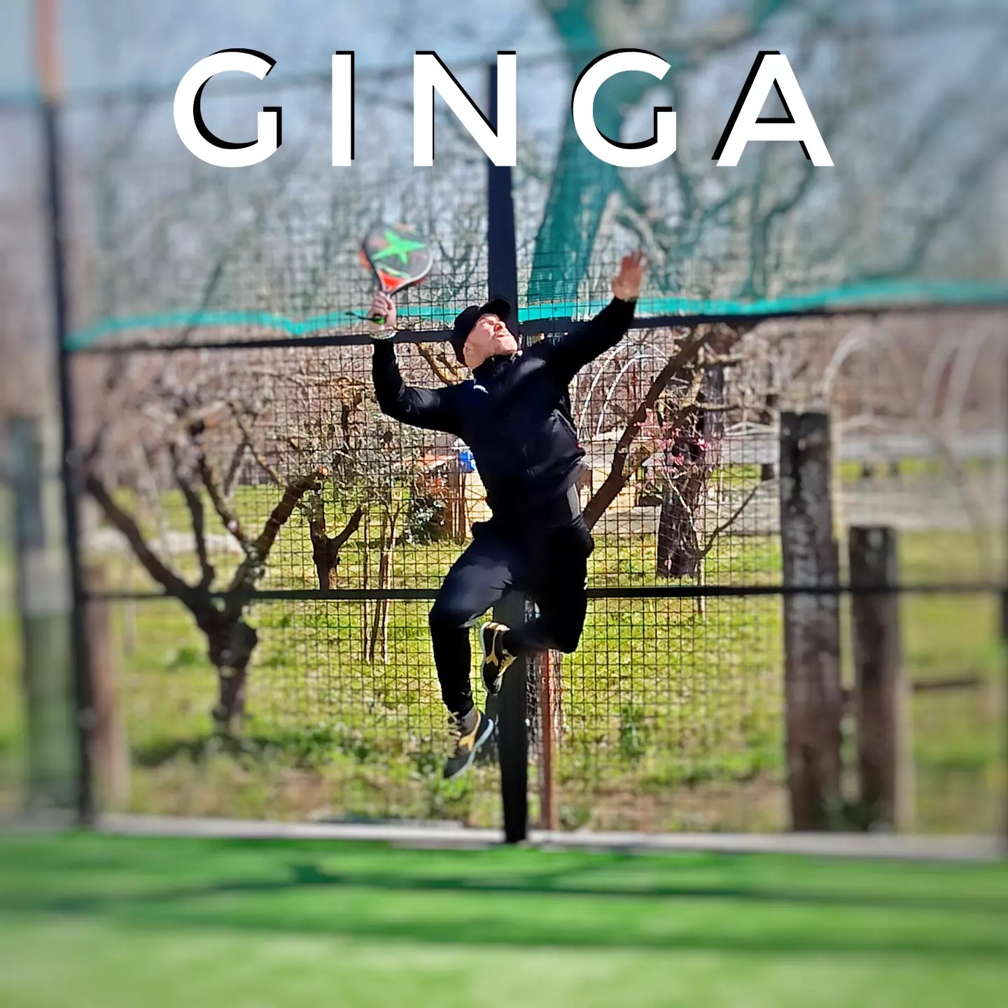 Ginga  — photo 3