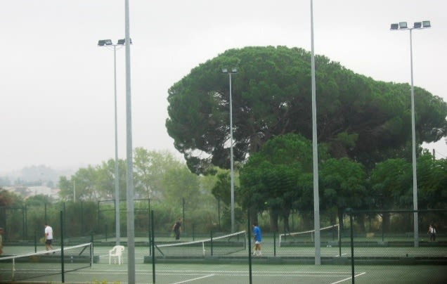 INACTIVE-Club Tennis Piera — photo 3