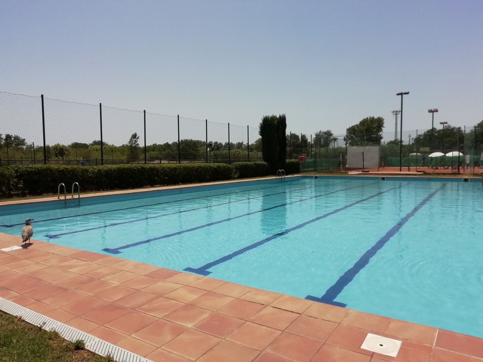 INACTIVE - Tennis Blanes - SYLTEK — photo 4