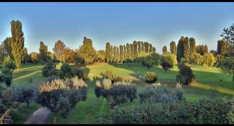 LE VIGNE PADEL CLUB — photo 1