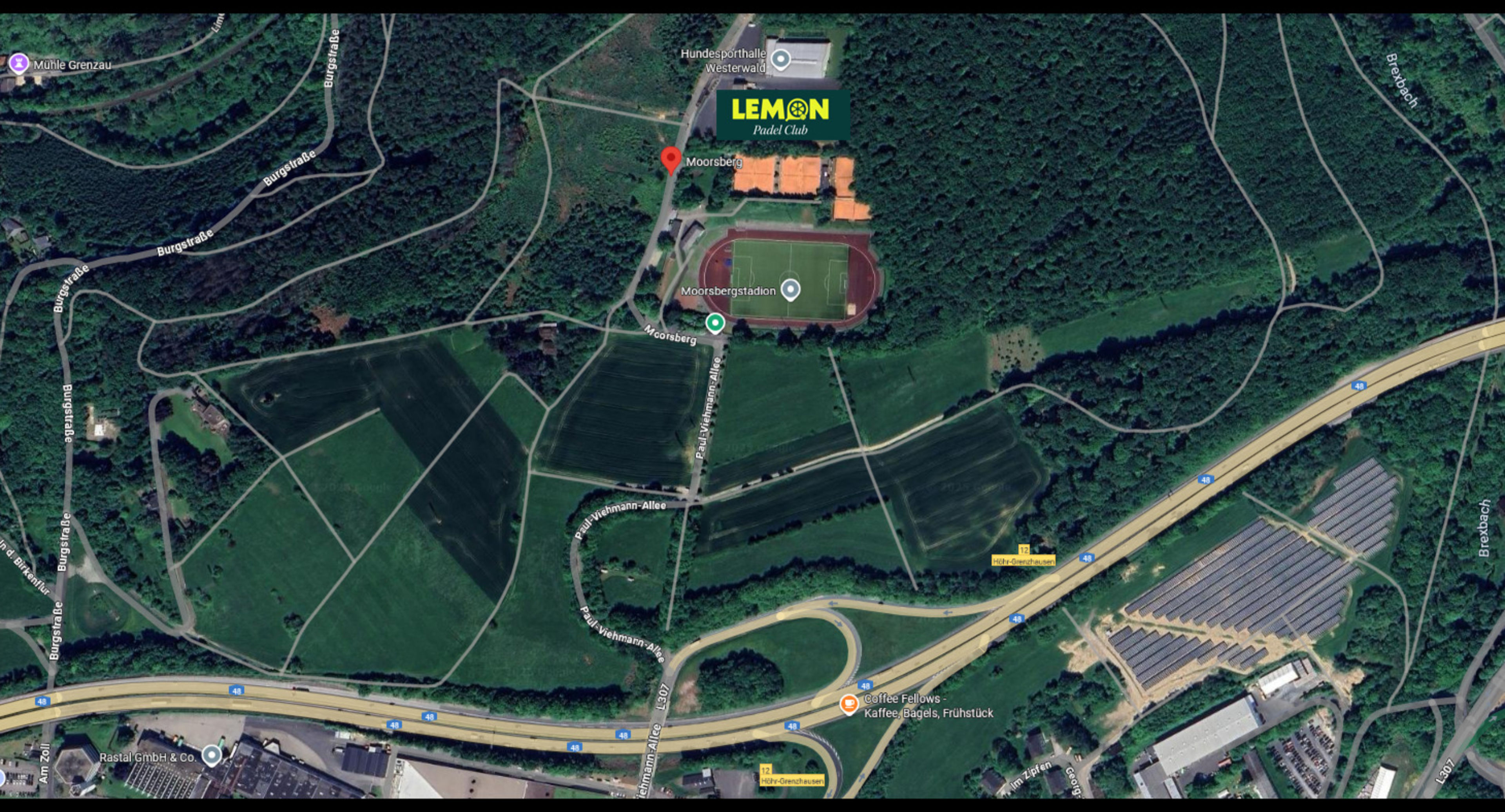 Lemon Padel Club | Höhr-Grenzhausen — photo 5