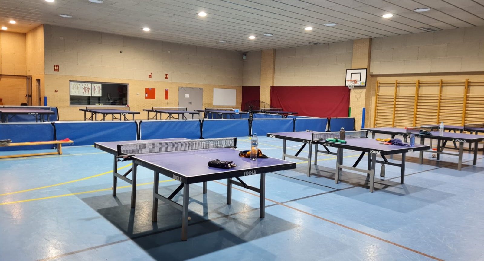 Madrid Club Tenis de Mesa — photo 2