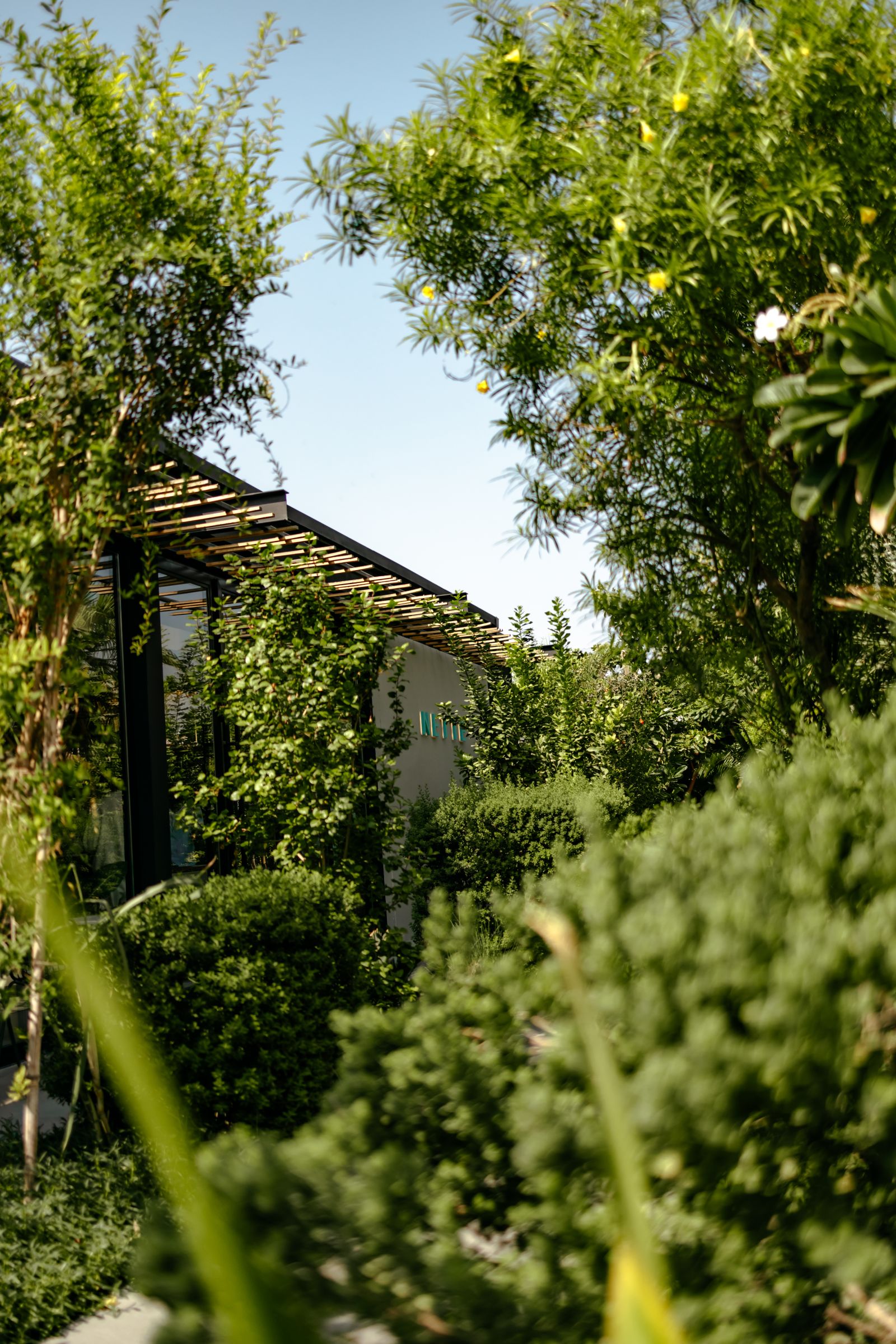 Matcha Club Alquoz — photo 8
