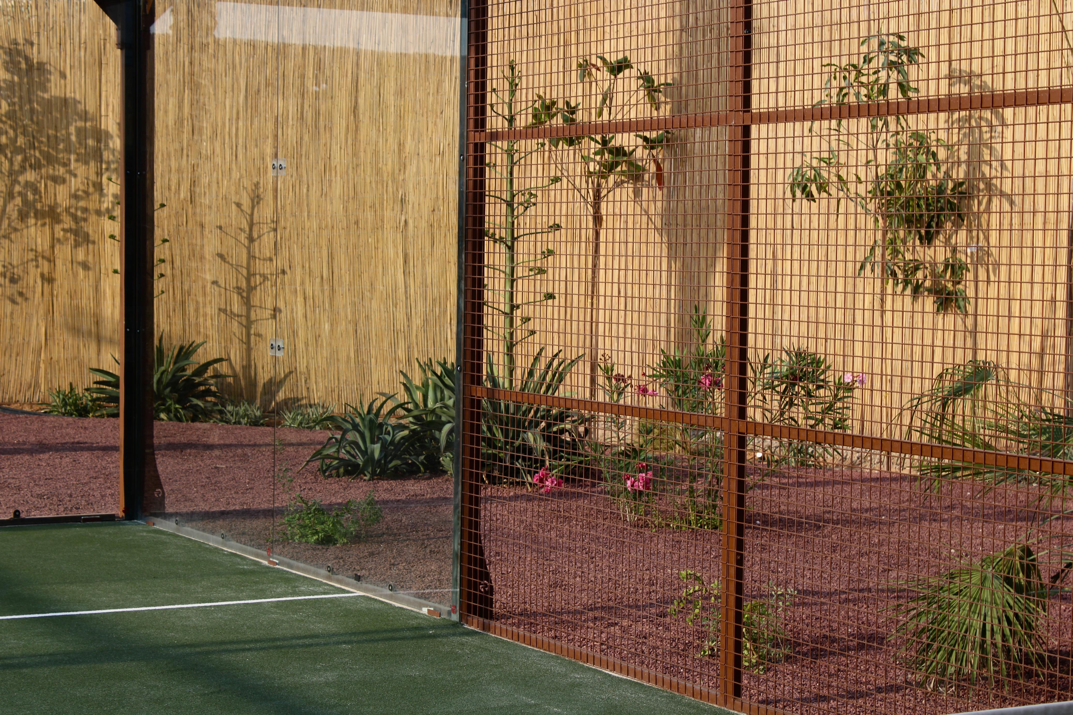 Matcha Club Creek — photo 3