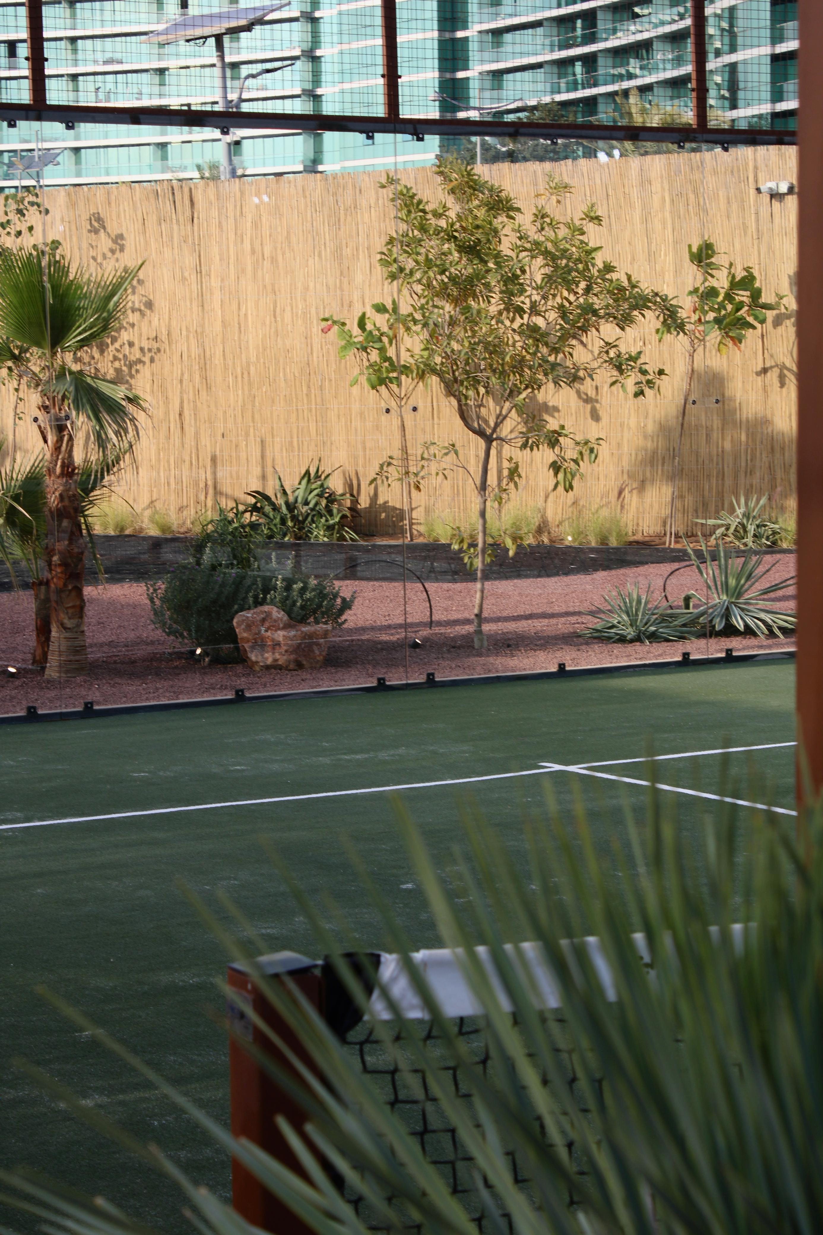 Matcha Club Creek — photo 6