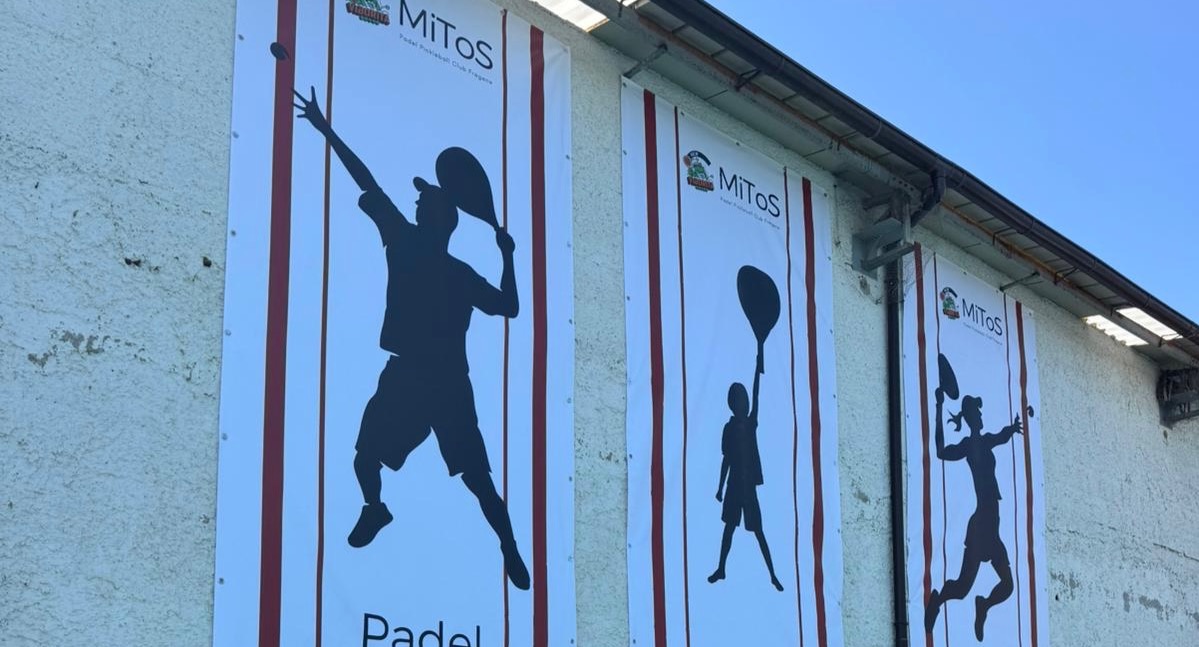 MiToS Viborita — photo 5