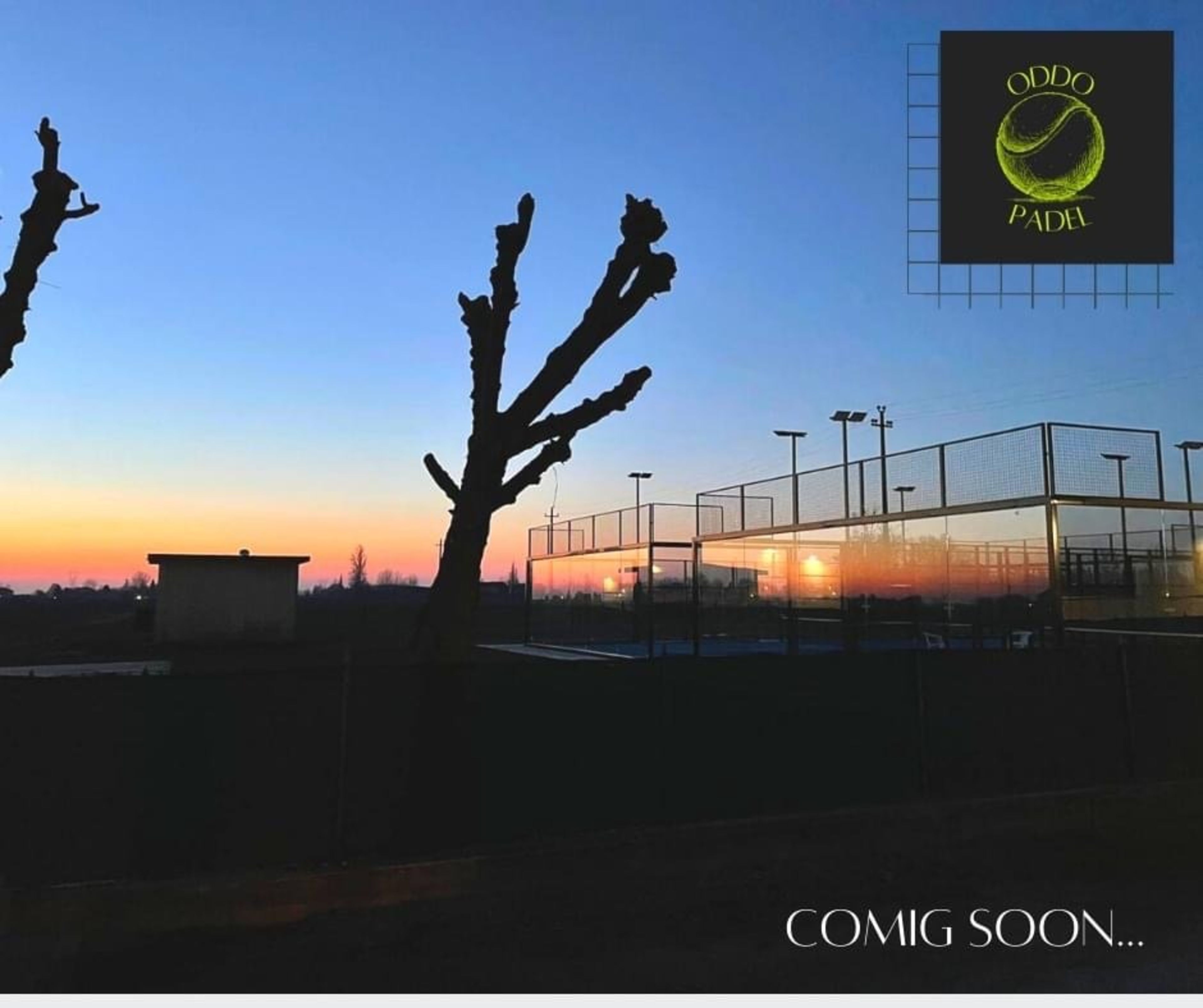 Oddo Padel — photo 3