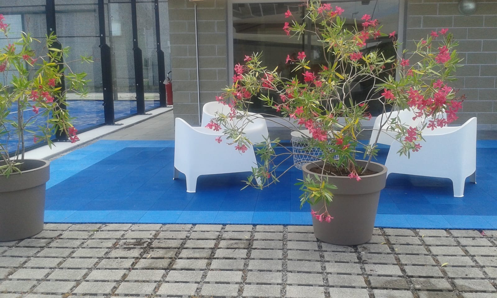 PADEL 4X4 — photo 3