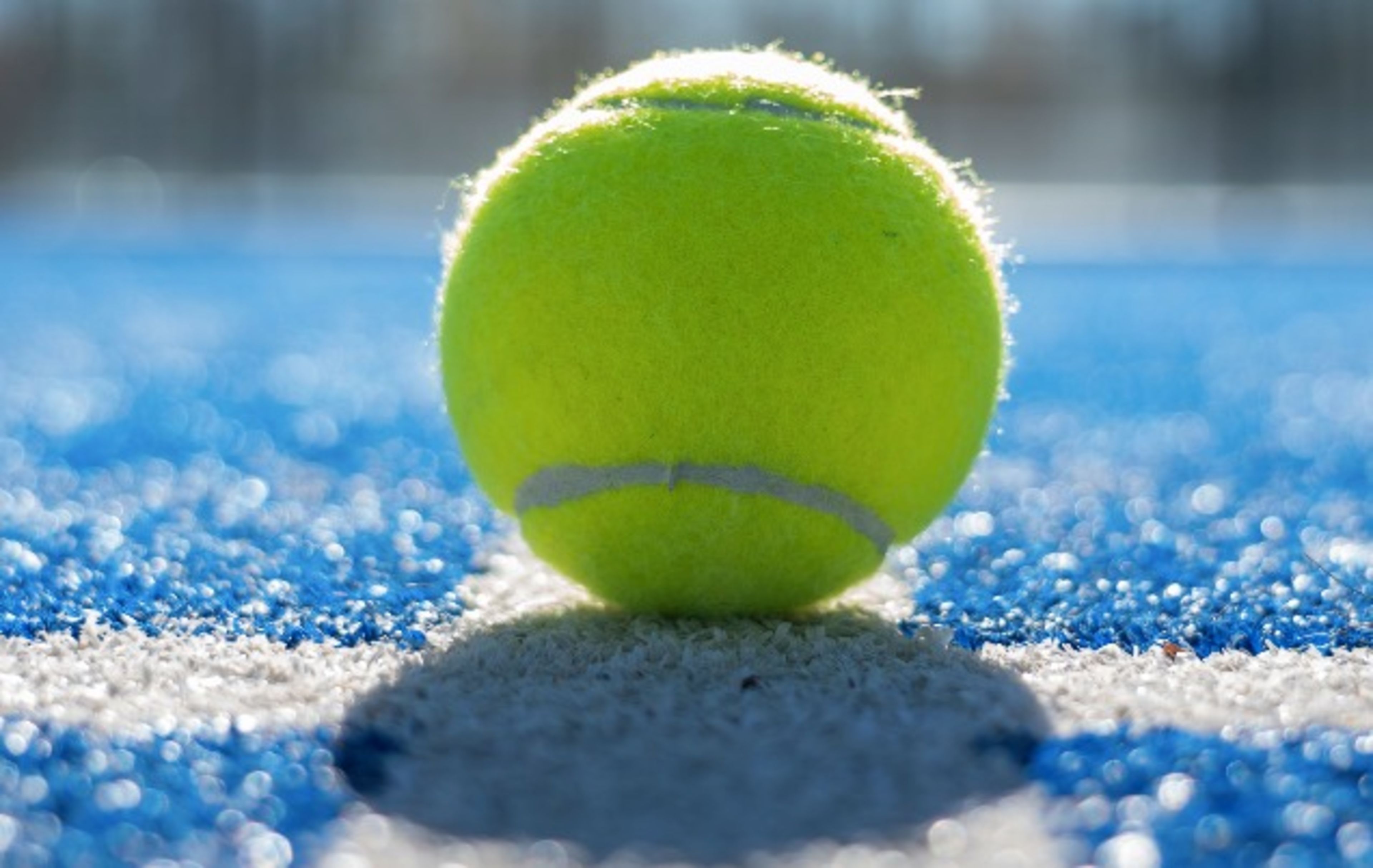 Padel Academy El Valle — photo 4