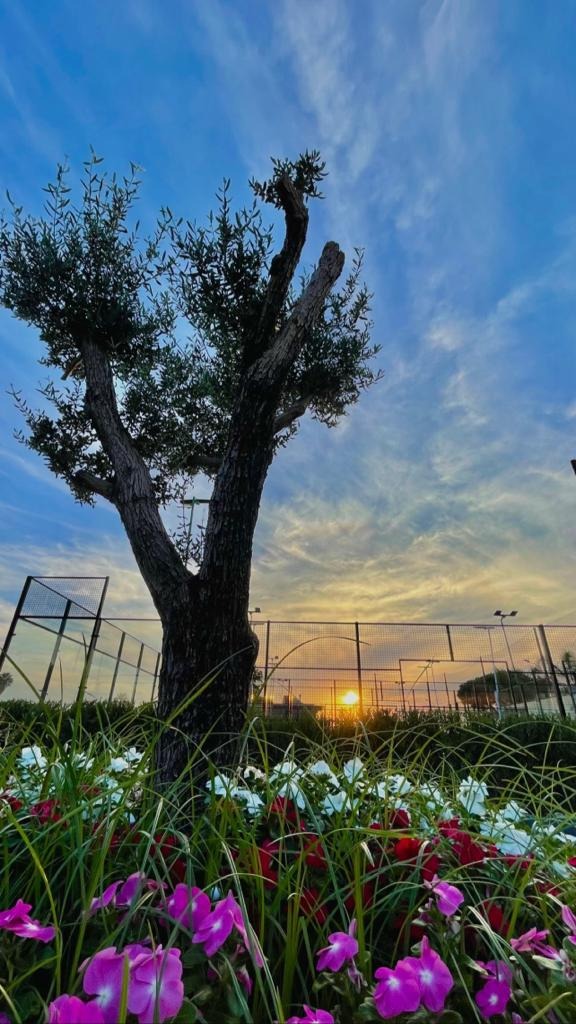 Padel Club Giugliano — photo 2