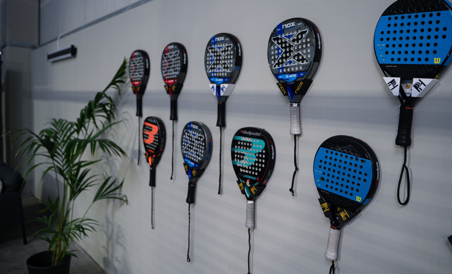 Padel Haus — photo 4