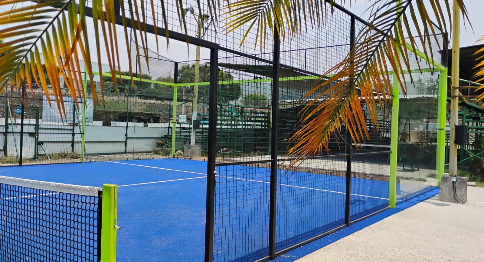 PADEL MORELOS — photo 4