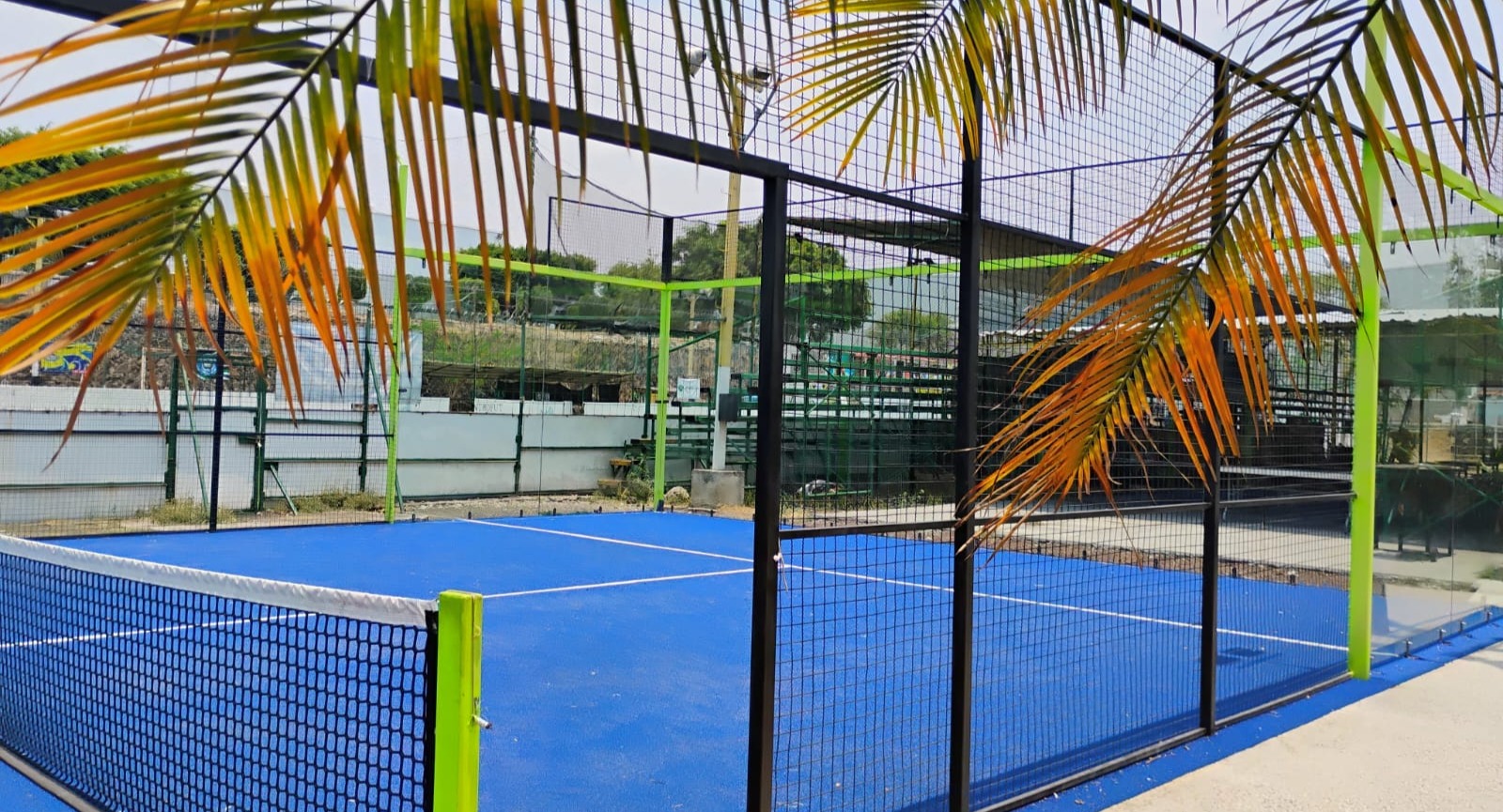 PADEL MORELOS — photo 5