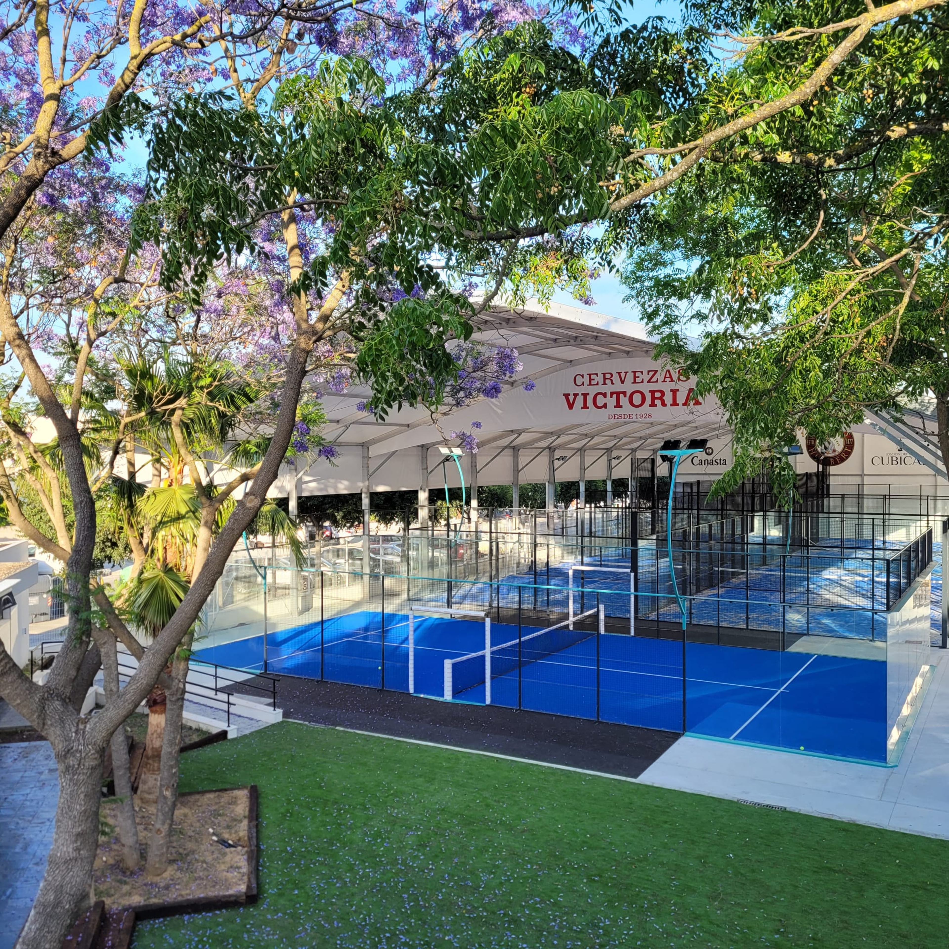Pádel Nuevo Jacaranda — photo 4