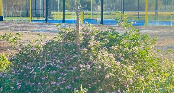 Padel Stone — photo 1