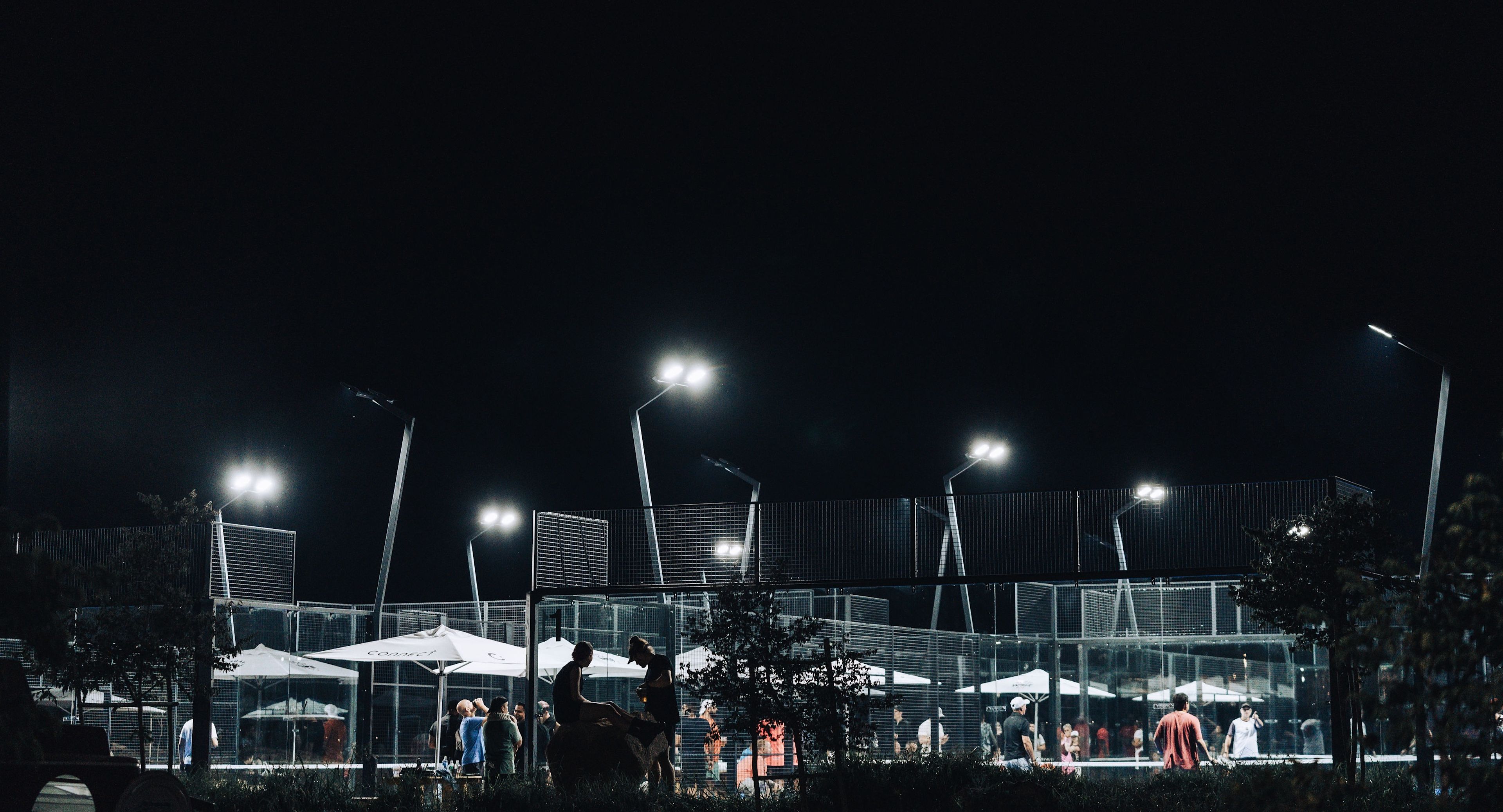 PADEL WOLF — photo 4