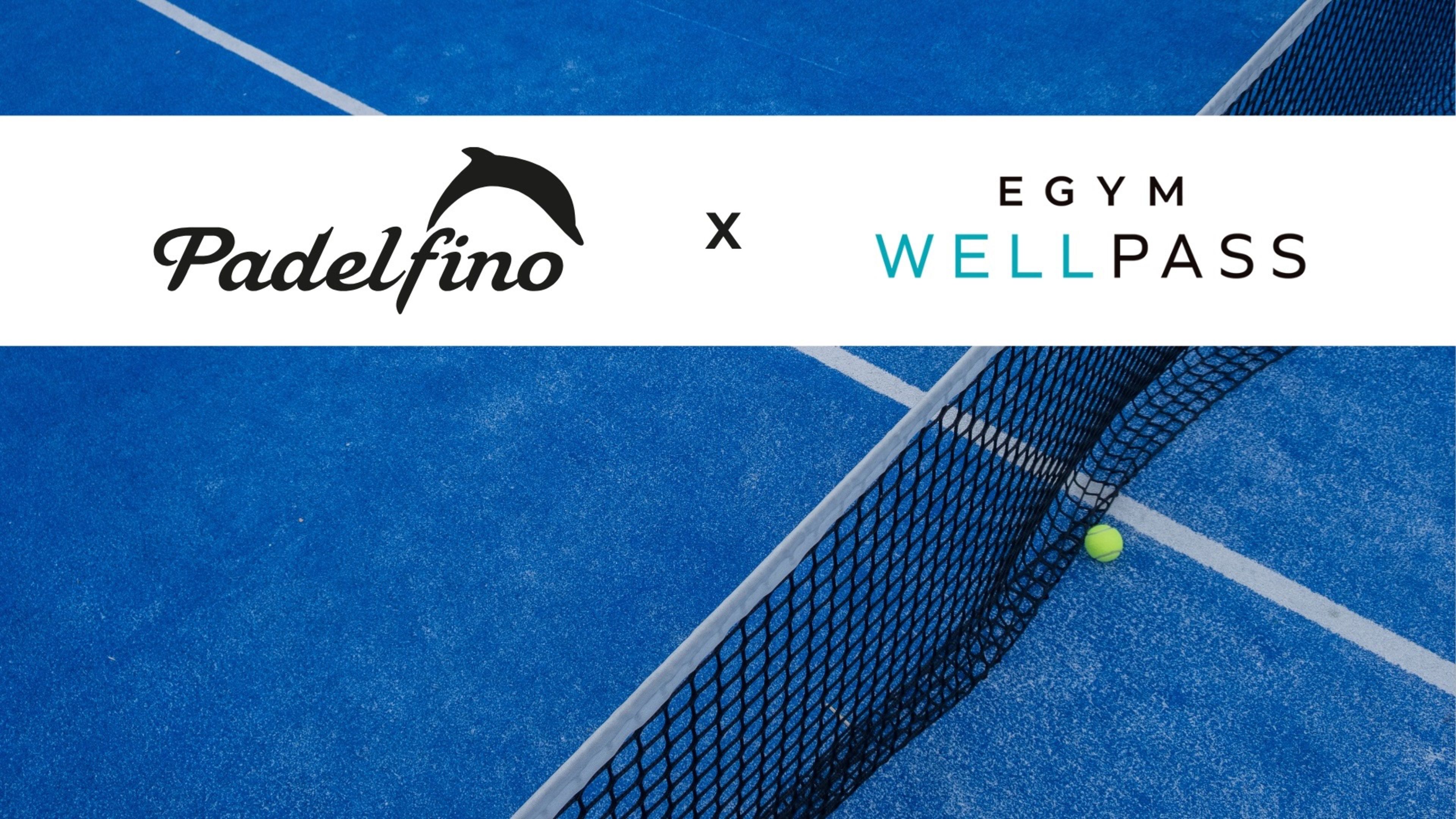 Padelfino - Heidenheim an der Brenz — photo 5