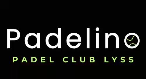 Padelino Lyss — photo 6