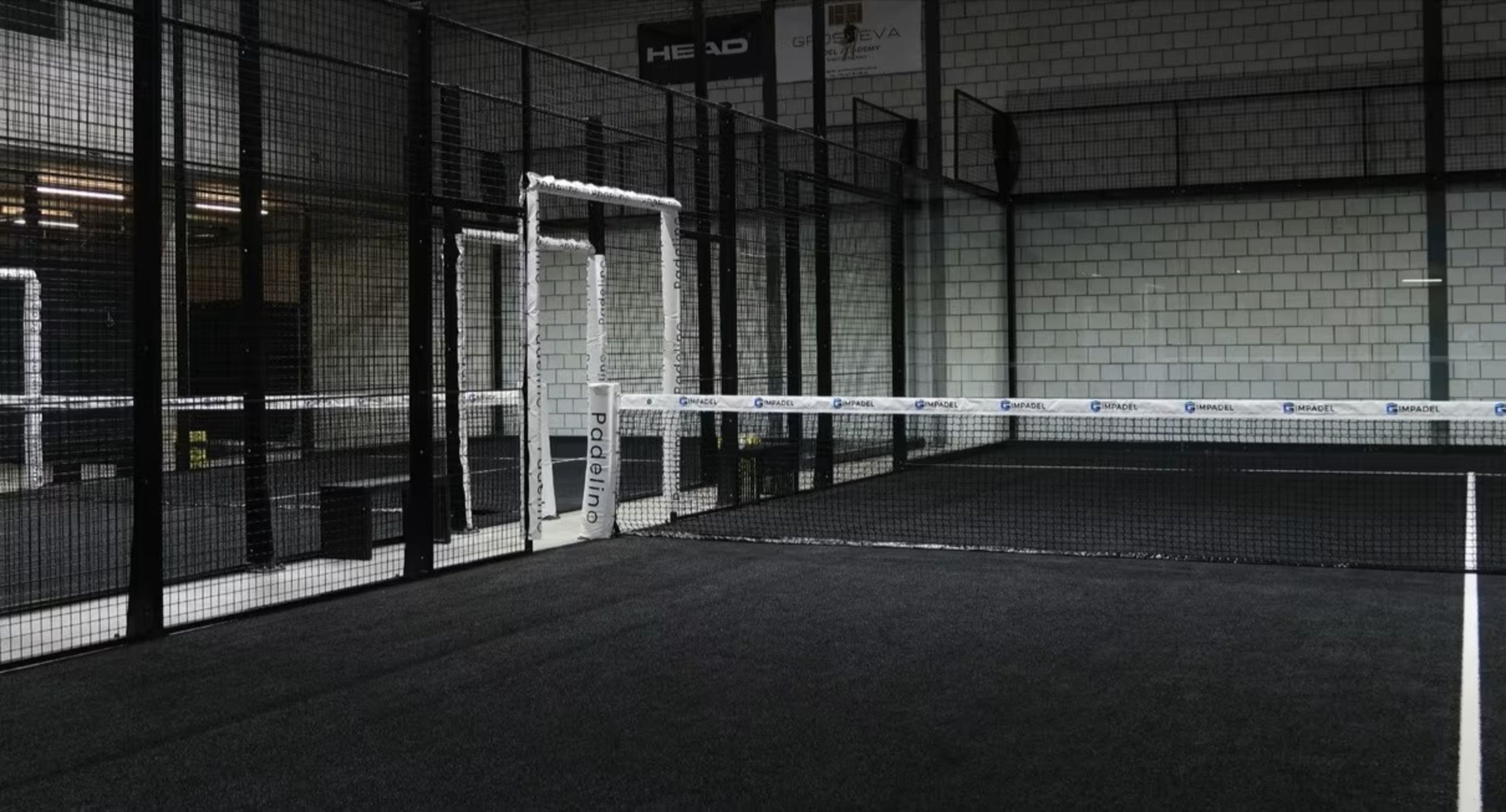 Padelino Lyss — photo 8