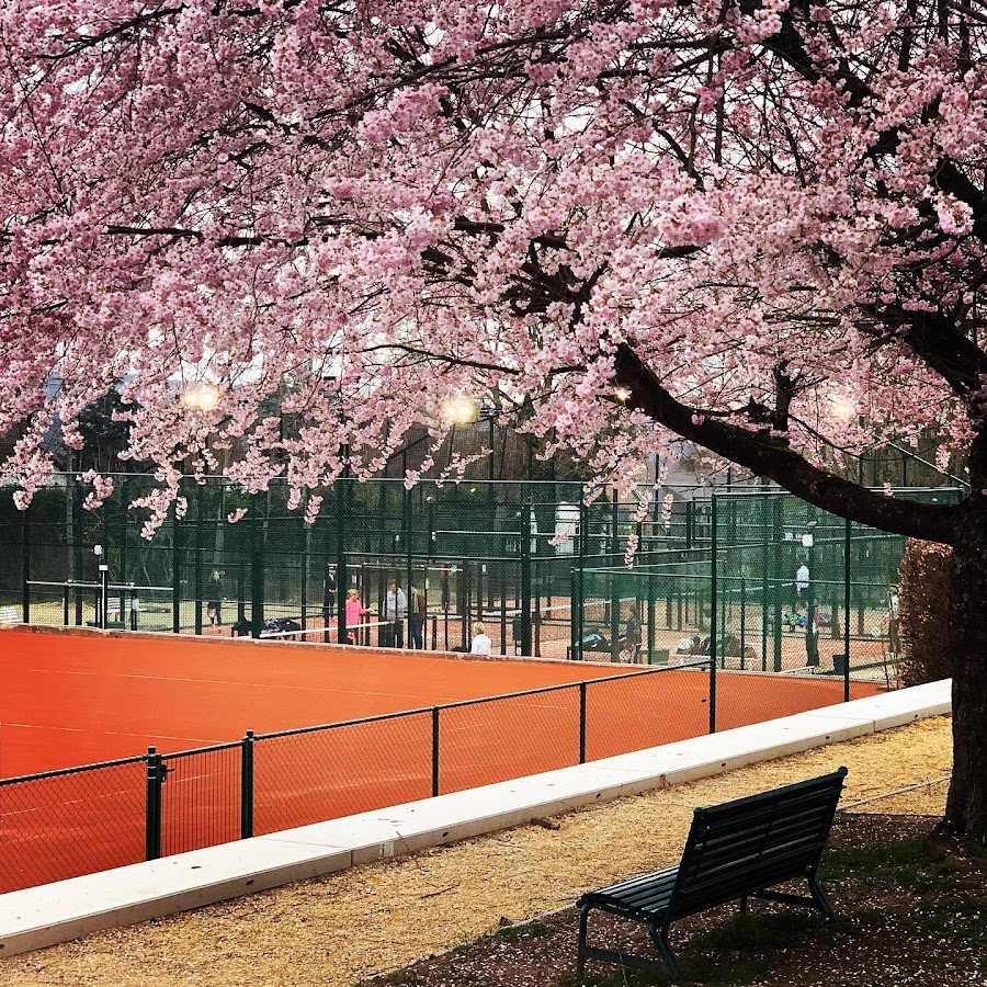 Pádel Carré (Cours de padel) — photo 2