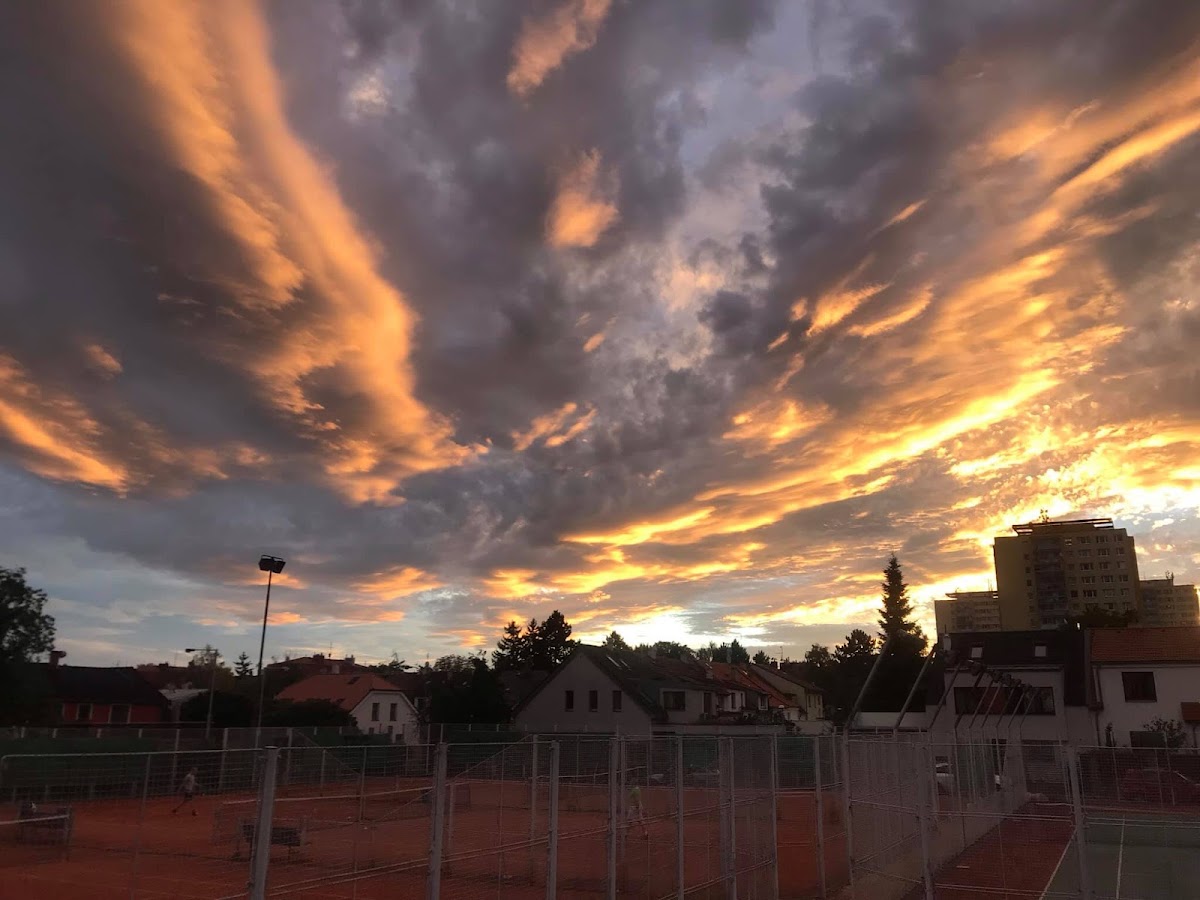 Tenis Admira — photo 2