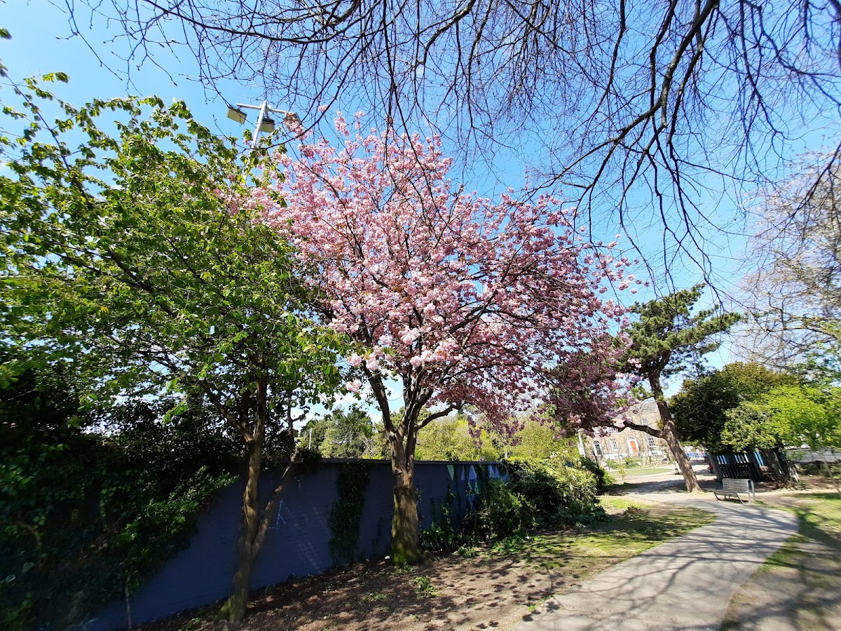 Mount Pleasant L.T.C. — photo 2