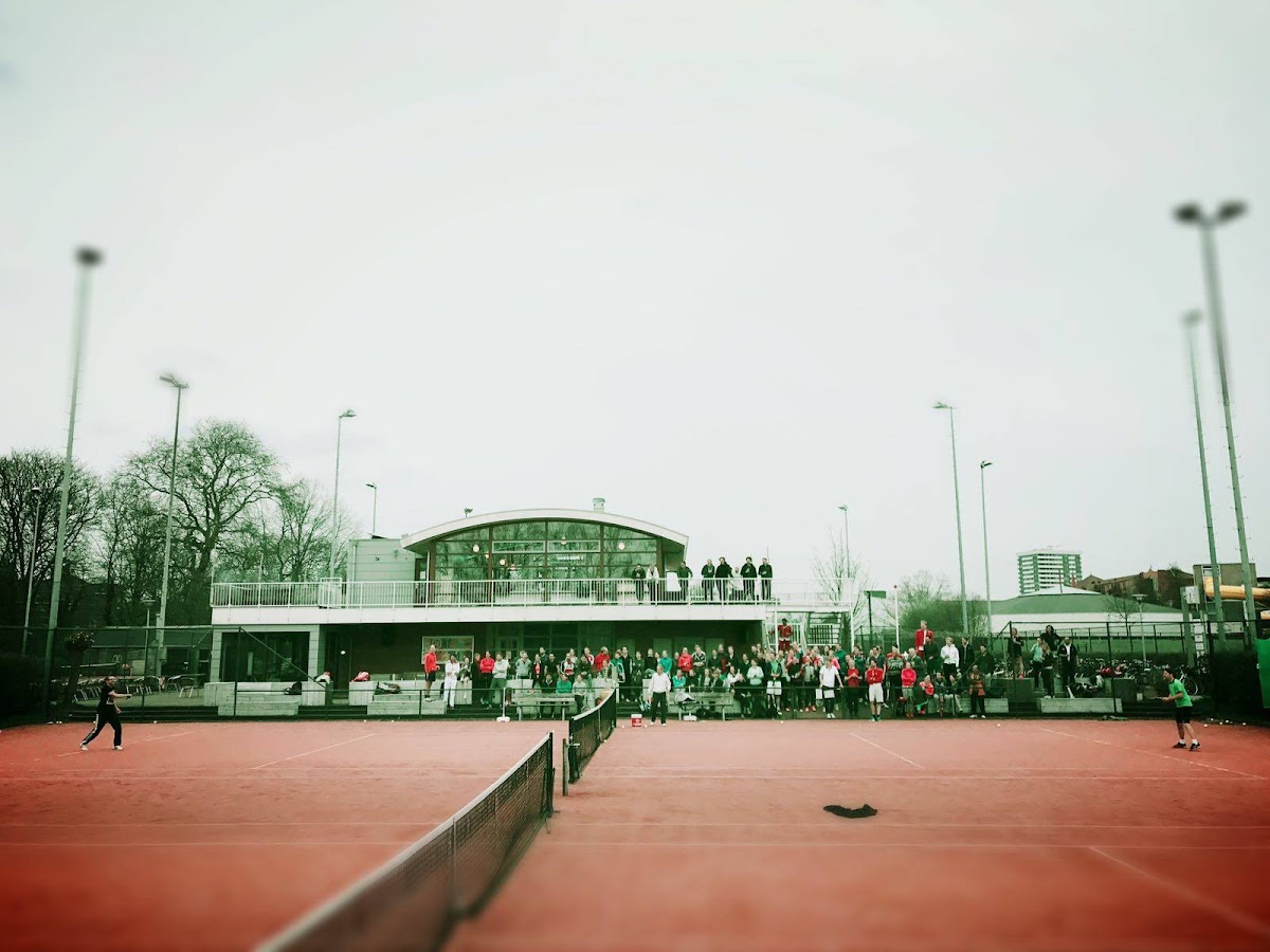 T. C. Domstad — photo 2
