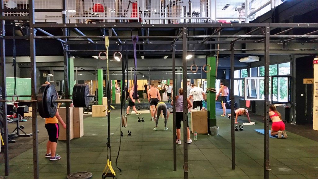 RED ROYAL GYM — photo 2