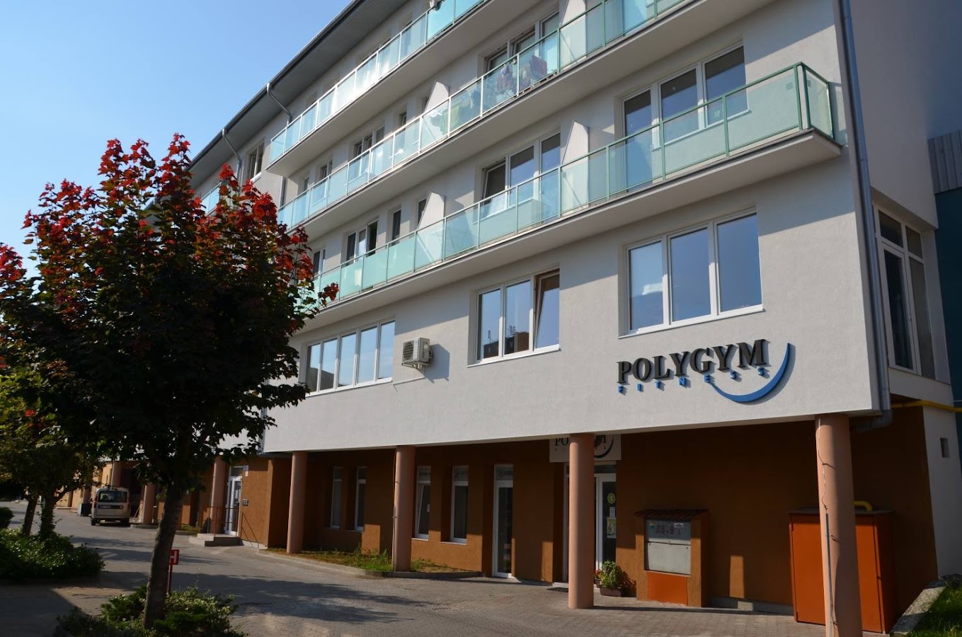 Polygym Fitness — photo 2