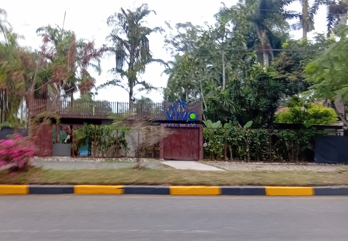 VIVO PADEL — photo 2