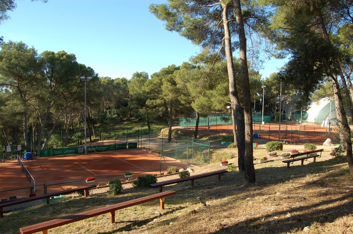 ASCH Tennis — photo 1
