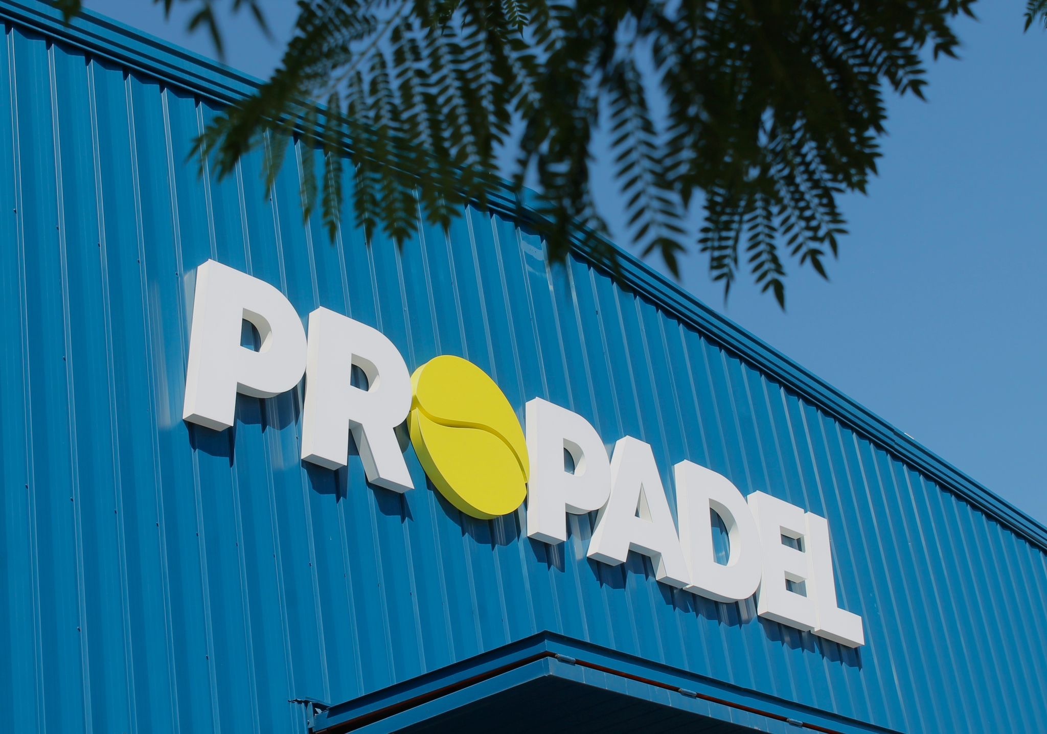 Pro Padel Gavà - CLUB CLIMATIZADO — photo 3