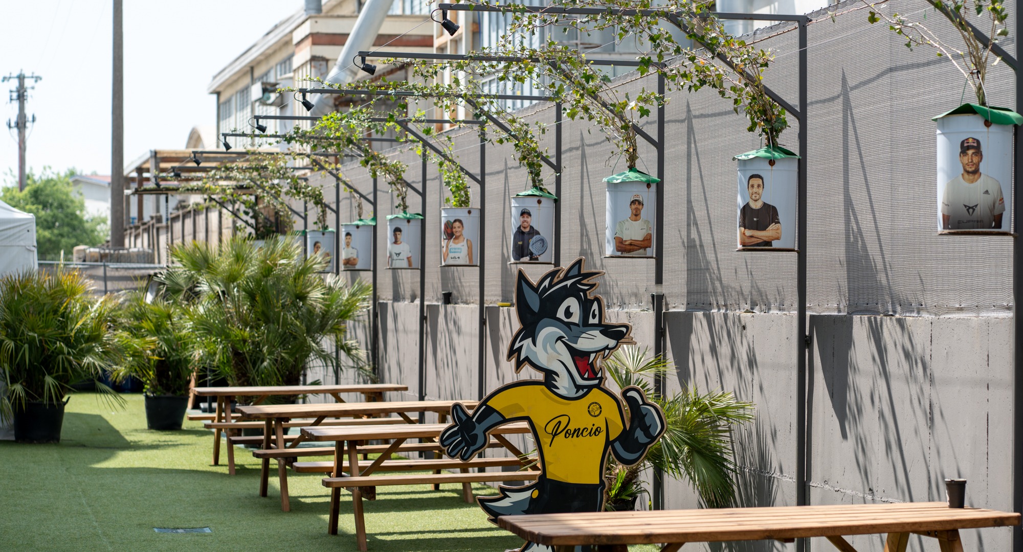 Punto Oro Padel Club — photo 11